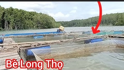 Câu Cá Nâu Bè Đụng Toàn Hàng Khủng / Câu Bè Long Thọ @Dammecauca1