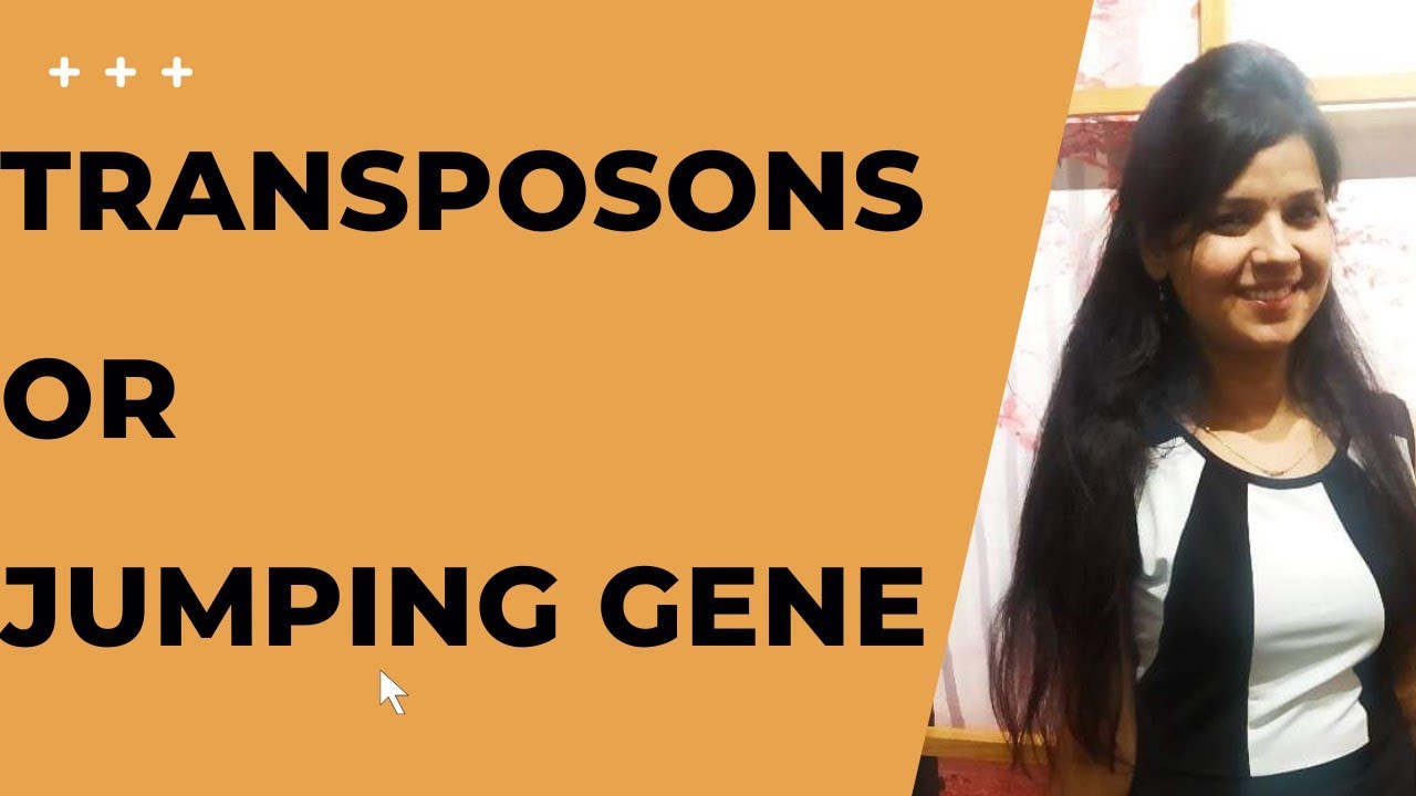 Transposons ll Basics of Transposons ll Jumping Gene ll Part1