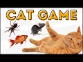 TOP 3 najlepsze gry dla kota 🎮 Pająk I Rybki I Mysz 🕷🐟🐭 CAT GAMES