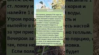 НАРОДНЫЙ рецепт от кашля и храпа