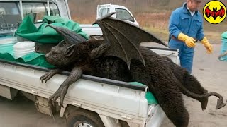 Top 15 Strange Animal Discoveries Reported in the Mountains of China