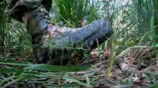 Black Company - Jungle Warfare Operator's Course Recruitment Video | Oct. 2-4, 2009 Tunica, La screenshot 3