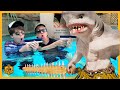 Monster shark vs giant box fort boat can funquesters aaron  lb survive