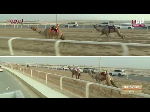 ش10 هقوه لـ عبيد حمد جارالله سالمين المري السباق المحلي الأول 8 9 2023ص ثنايا بكار إنتاج 8 15 54