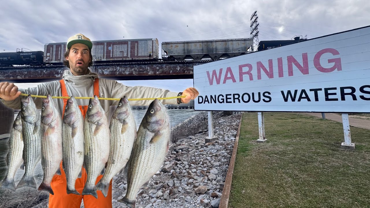 The Fish That Hurts So Good...