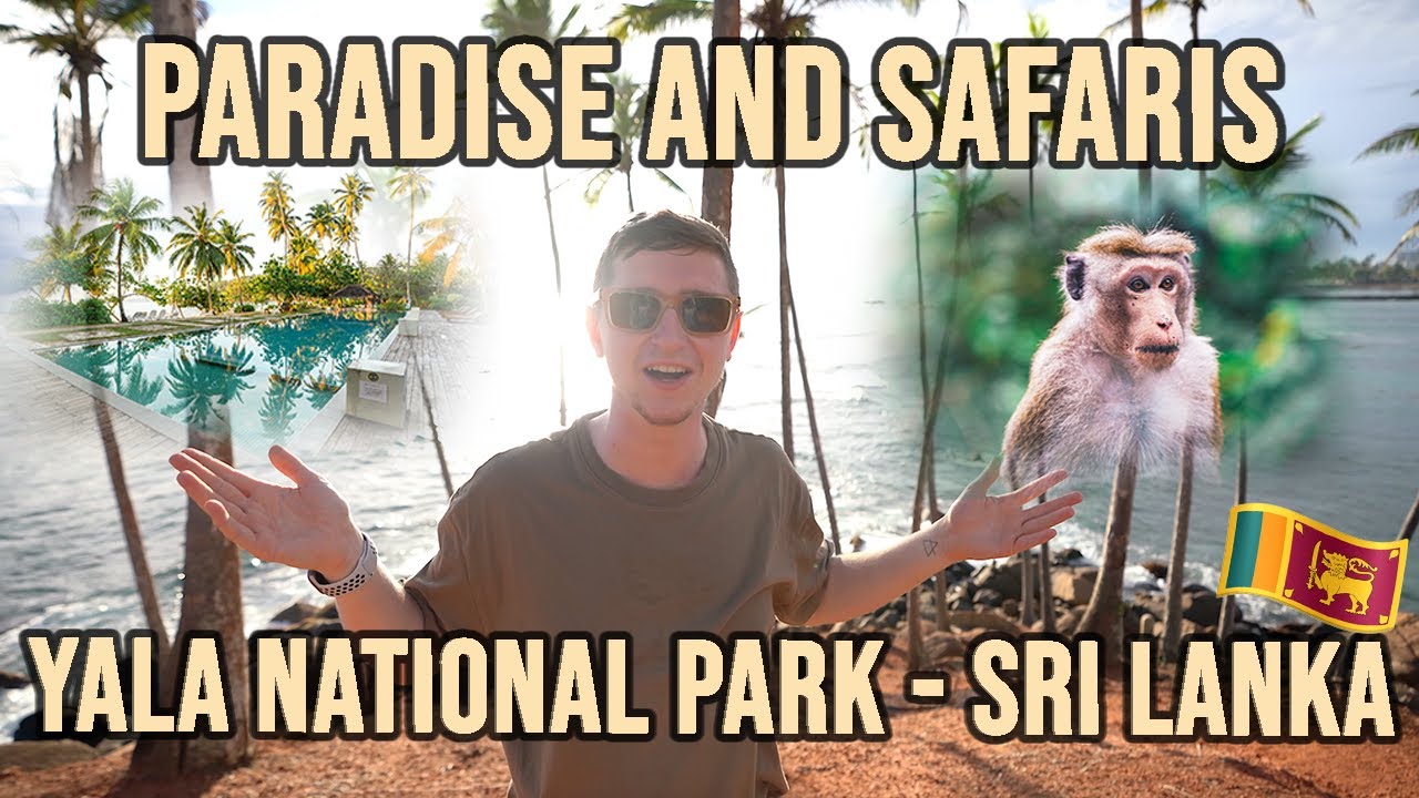 BEST SAFARI IN SRI LANKA! 🇱🇰 Yala National Park & Mirissa