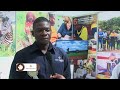 First Quantum Minerals (FQM) stand coverage
