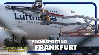 Planespotting Frankfurt Airport | December 2021 | Part 2