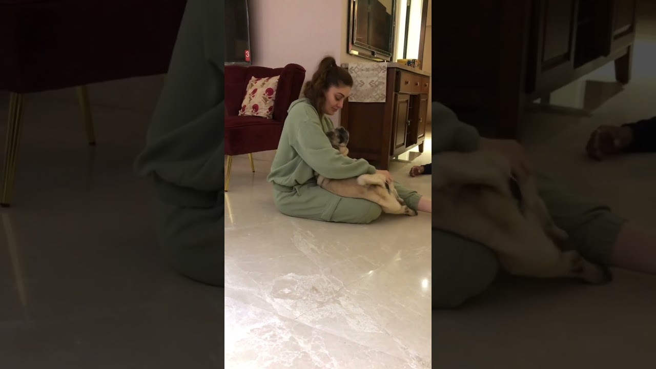 Simba and simba mom shefalijariwala happy moment