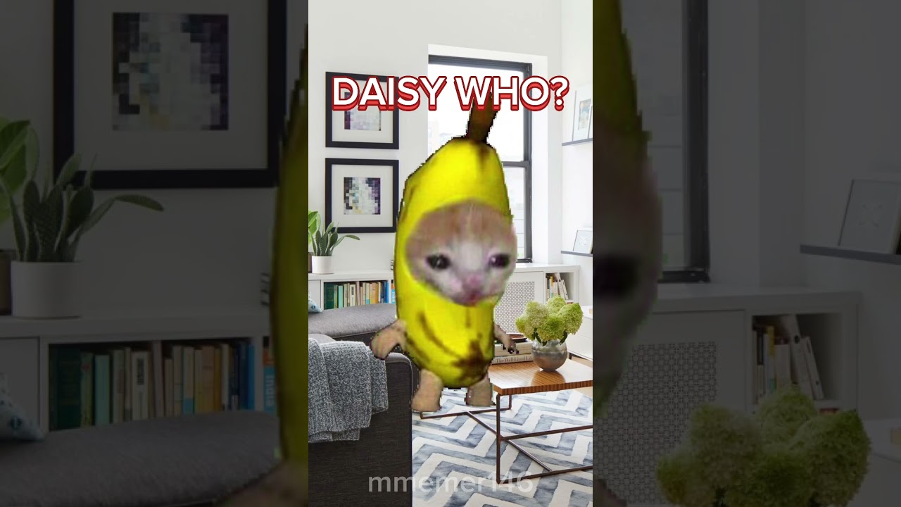 KNOCK KNOCK! WHO’S THERE? DAISY CAT BANANA