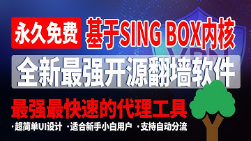 【全网首发】全新最强开源翻墙软件，基于SingBox内核开发，最强最快速的代理工具，适合新手小白用户，超简单UI设计，支持多种主流协议，支持自动分流，操作简单，保姆级翻墙教学【CC字幕】