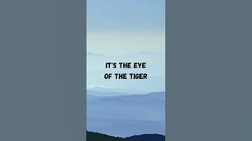 Survivor Eye Of The Tiger Lyrics 