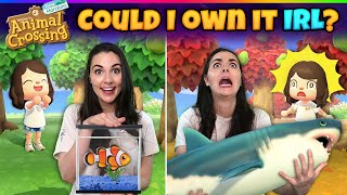 How Many Animal Crossing Fish Could I Legally Obtain IRL?