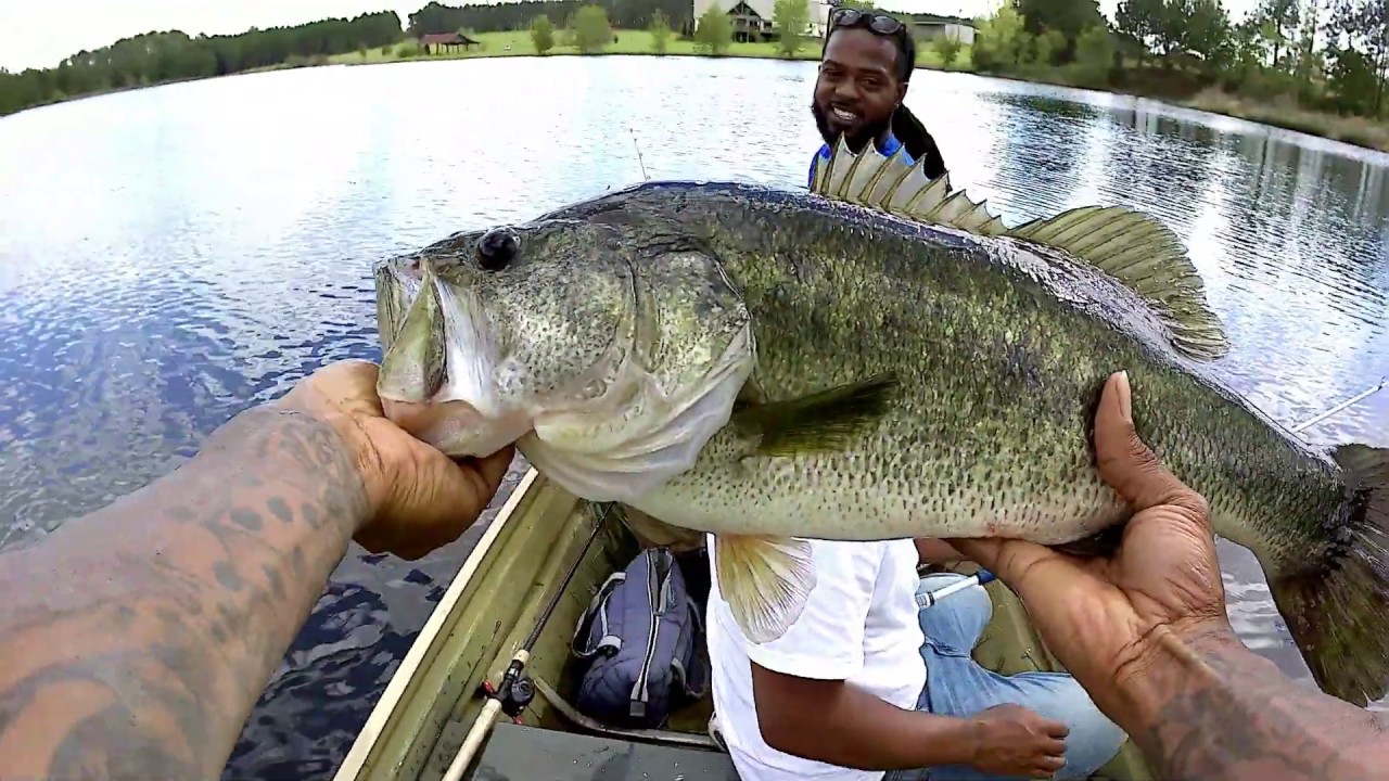 Fishing With Turner! Chimney Pond part 2 Huge Bass 7+ Pounds YouTube