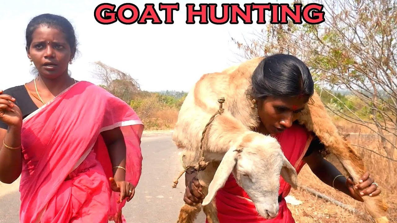 GOAT HUNTING IN VILLAGE | Country Chicken Cooking And Eating with Raw Red Chilli | Village Style