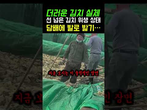 당신이 방금 집어 먹은 김치의 소름 돋는 정체 #shorts