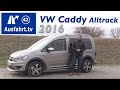 2016 Volkswagen VW  Caddy Alltrack 4MOTION TDI DSG - Fahrbericht der Probefahrt, Test, Review