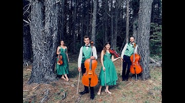 The String Family Documentary