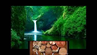 REAL DRUM USAH DENGAR KATA ORANG MEMORY HITS STINGS ( COVER )