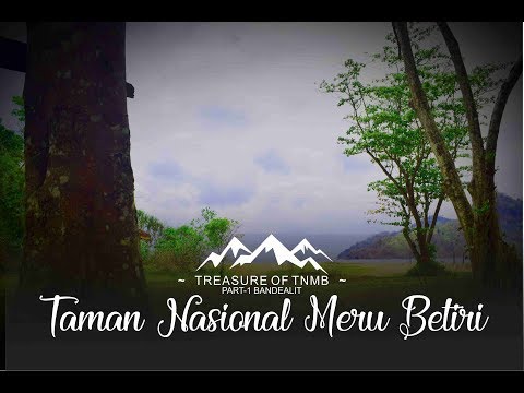 Teasure Of TMNB - TAMAN NASIONAL MERU BETIRI - Bandealit (Beautifull Of Indonesia)