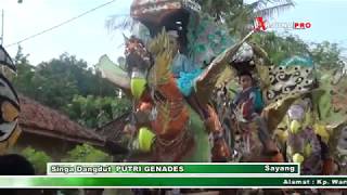 Sayang Putri Genades Aulia Salsa Bila