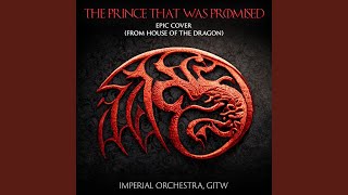 The Prince That Was Promised Epic Cover (From House of the Dragon)