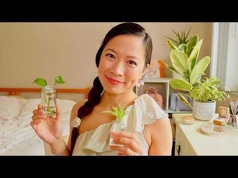 ASMR 🏡  Show & Tell Rambling & Chit Chat : My Bedroom Plants Tour 🌱