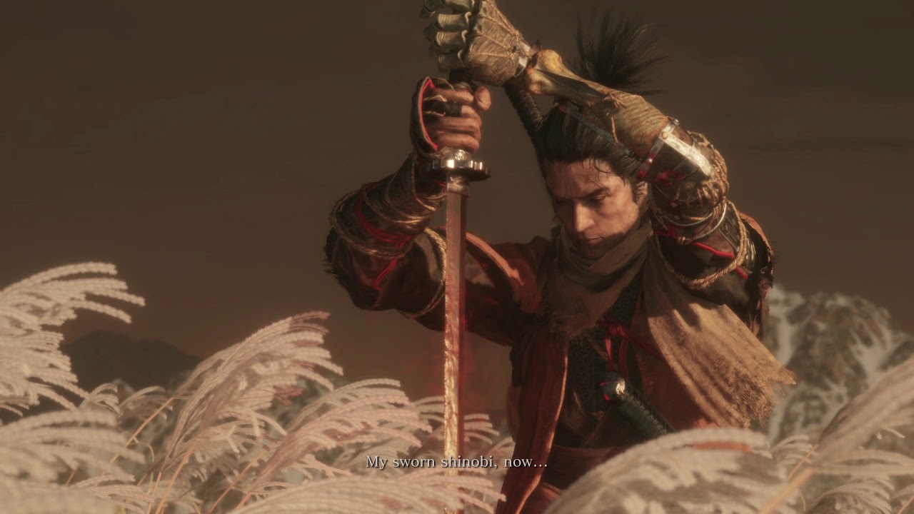 DO IT! SEKIRO!!!  (Isshin Sword Saint Deathblow )