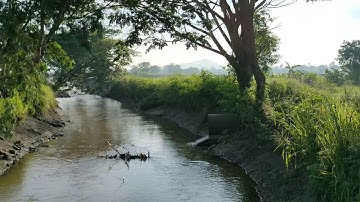 DI DESA KASIH KU TERTUMPAH - DJ DAVE