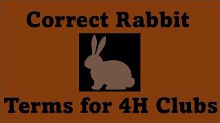 The Correct Rabbit Terms to Use in 4H Clubs