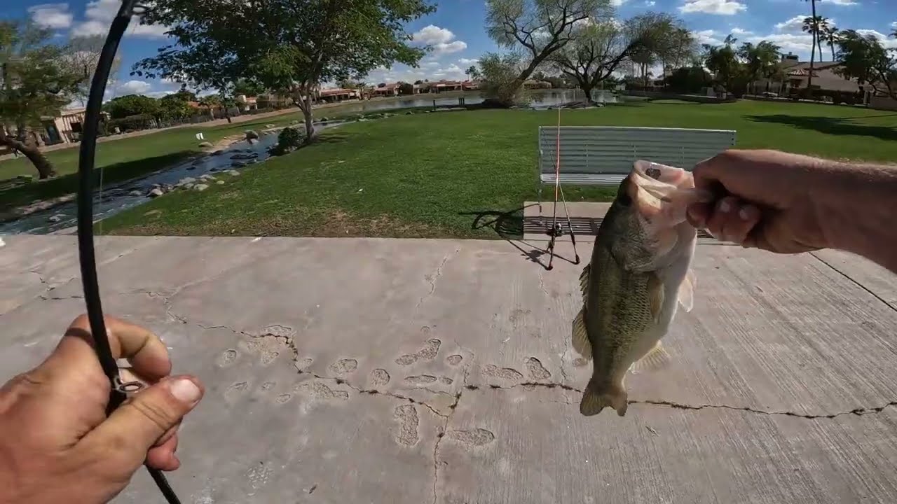 LATE SPRING BASS FISHING TRIP (HAD TO START THE YEAR OFF SLOW)