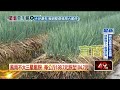 地方風災損壞與預防撤離