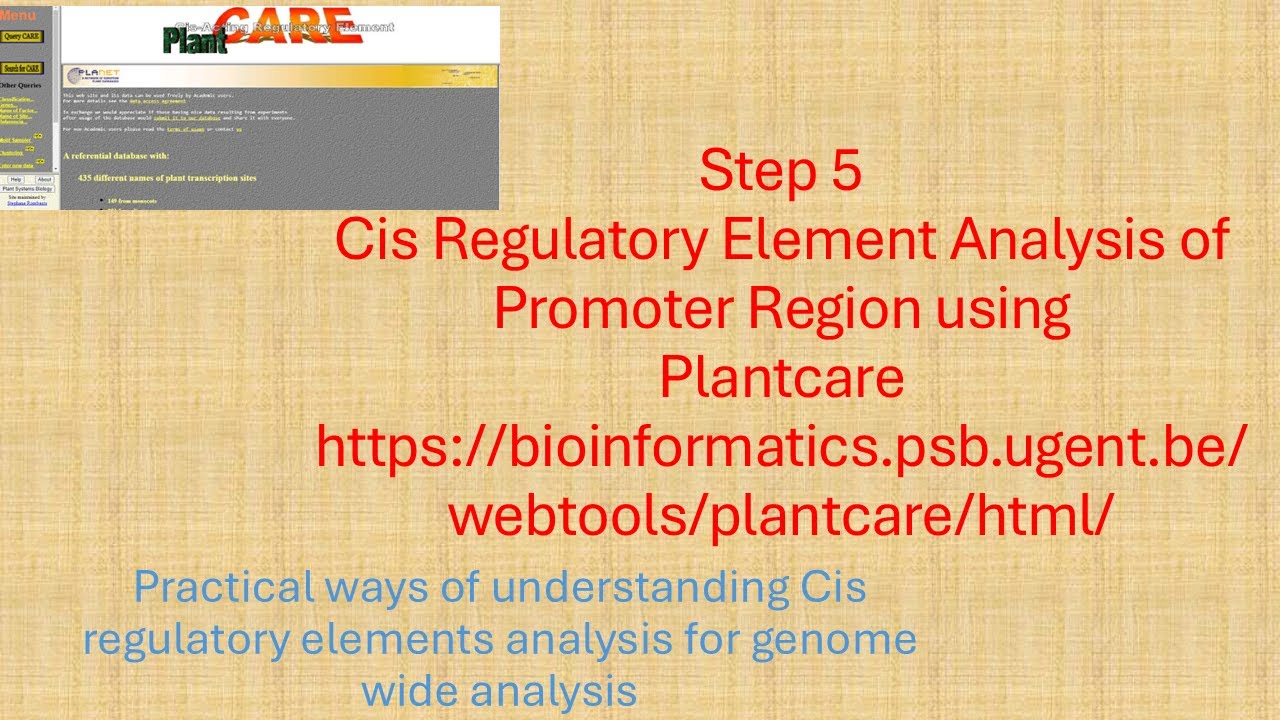 Step 5 Cis Regulatory element analysis of promoter region using plant care