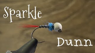 Sparkle Dunn Euro Nymph Fly Tying | Deadly Early Spring Trout Fly
