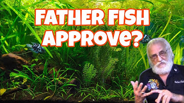 Low Tech Aquascape Ecosystem | Father Fish Style Natural Aquarium