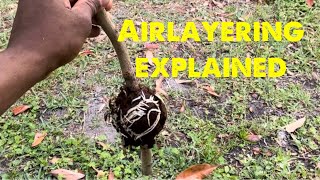Airlayering explained