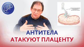 Антитела к бета-2 гликопротеину 1: почему они опасны для беременности и как их обезвредить. screenshot 5