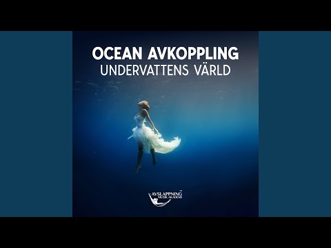 Obejrzyj Oupptäckt väg w YouTube
