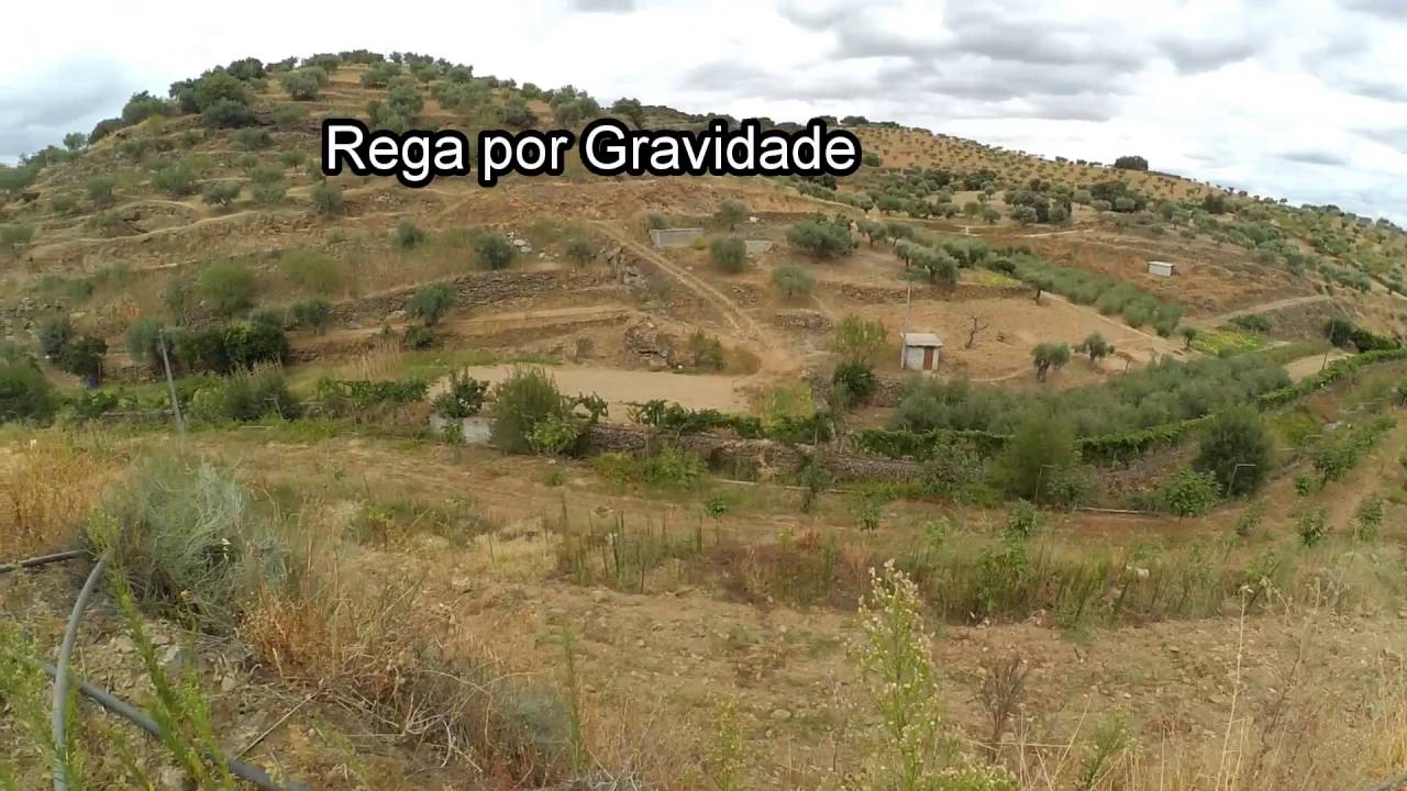 quinta do cabeceiro vila flor