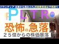 PLTRパランティア「株価暴落」恐怖の急落,政府の防衛予算削減を会計学で徹底解析【全力次のテスラ】100倍狙え