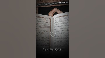 القرآن الكريم غذاء الروح 🌼 استمع إلى القرآن الكريم 🌻