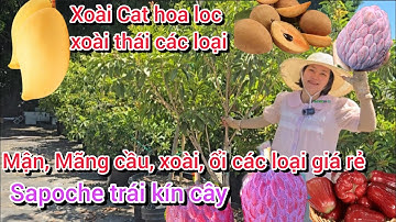 Ổi, Mận, mãng cầu, sapoche, nho thân gỗ Sưu tầm, hoa trái sum suê giá rẻ tại EKT Nursery Lakewood 