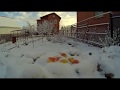 20200424 Яблоки на снегу