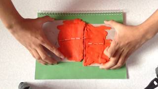 Simulation Plate Boundaries