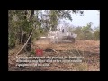 Removing Anti-Personnel Landmines