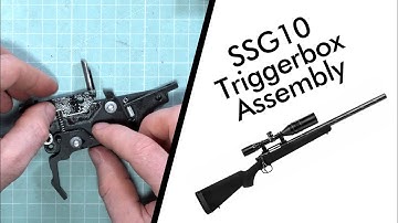 SSG10 Triggerbox Assembly