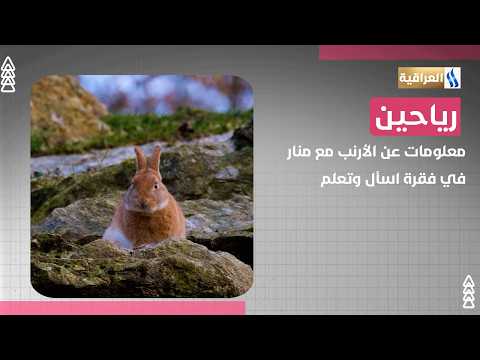Facts About Rabbits with Manar in the Ask and Learn Segment