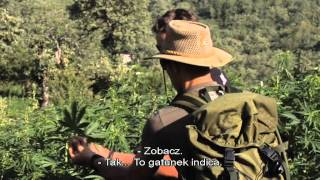 Strain Hunters Morocco Polish Subtitles