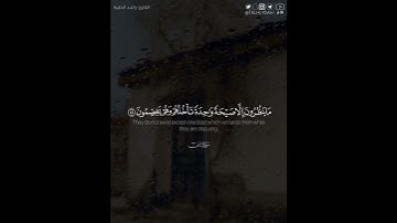 ﴿فلا يستطيعون توصية ولا إلى أهلهم يرجعون﴾ | القارئ : راشد الحليبة