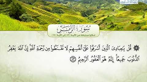 تلاوة مباركة من القرآن الكريم من سورة الزمر | بصوت القارئ سيد أحمد عبد الستار